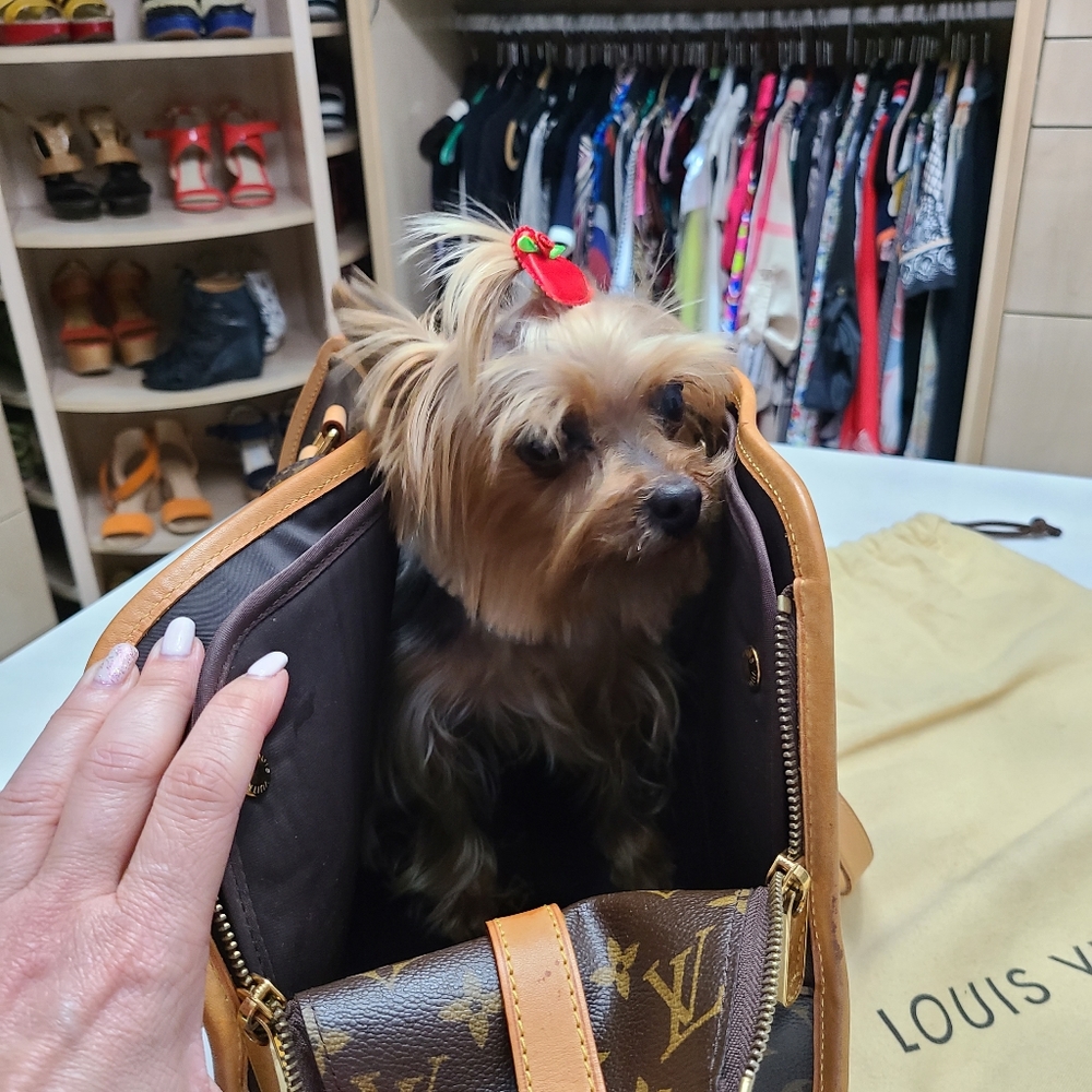 Louis vuitton dog bag